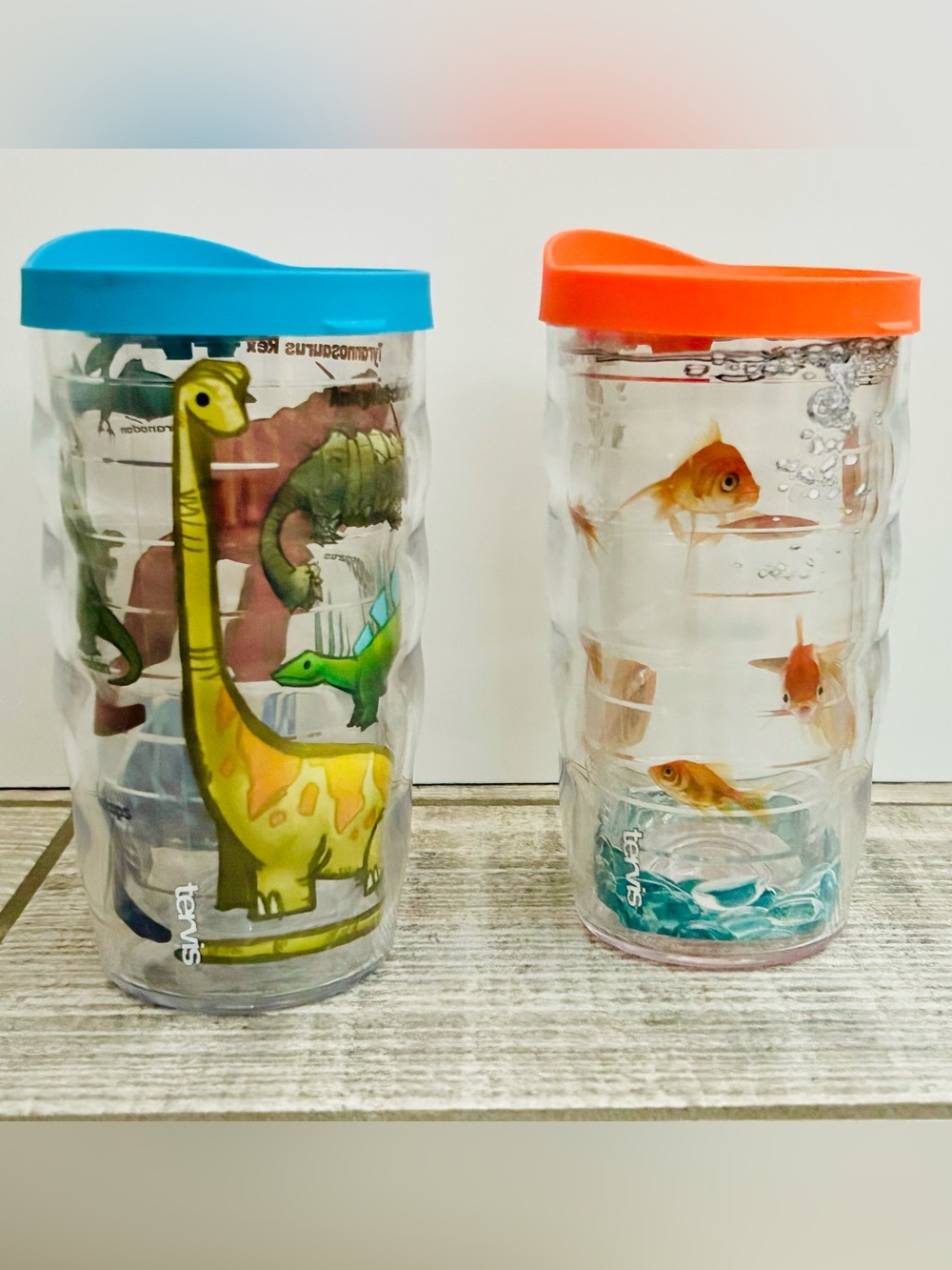 Tervis Kids Dinosaur & Fish 10oz Tumblers 2ct